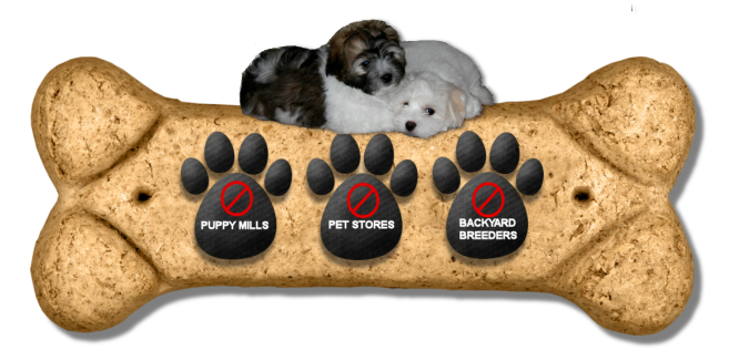 Cotons Against Puppy Mills